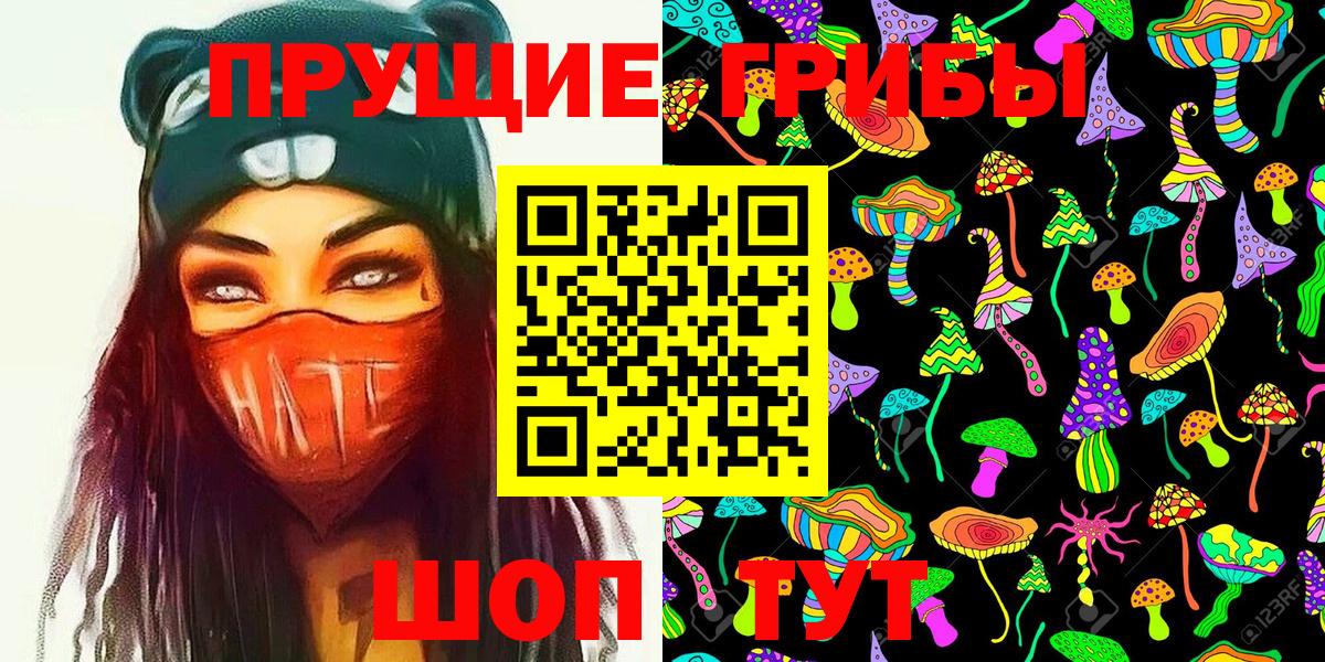 Галлюциногенные грибы Psilocybe  Псилоцибиновые грибы GOLDEN TEACHER  Вход с VPN  Екатеринбург 